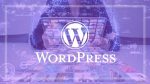 Wordpress assistance and training