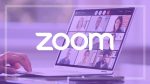Zoom hosting and training