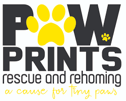 Paw-Prints-Logo